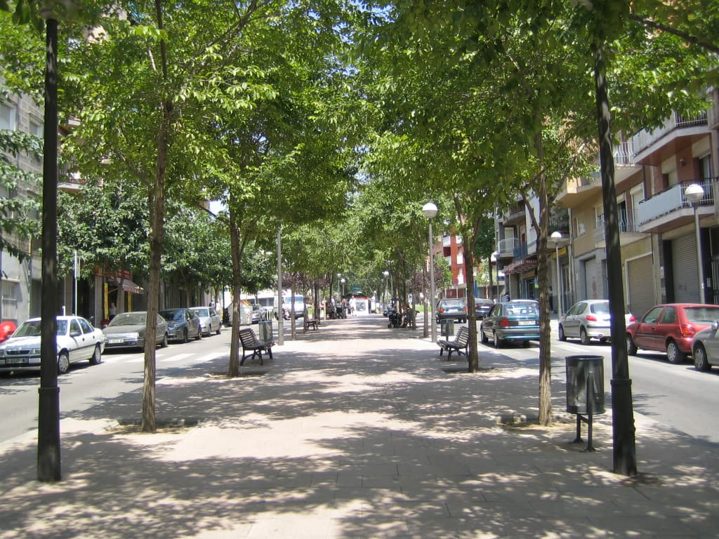 La Pubilla