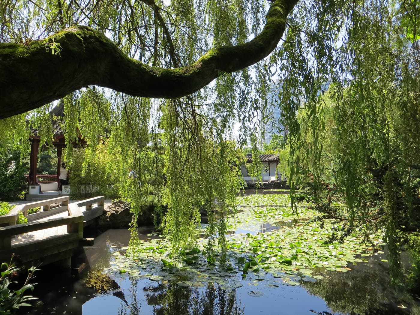 Dr. Sun Yat-Sen Classical Chinese Garden