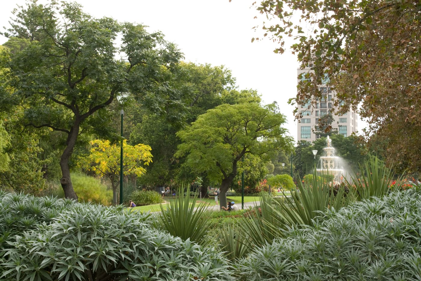 Carlton Gardens