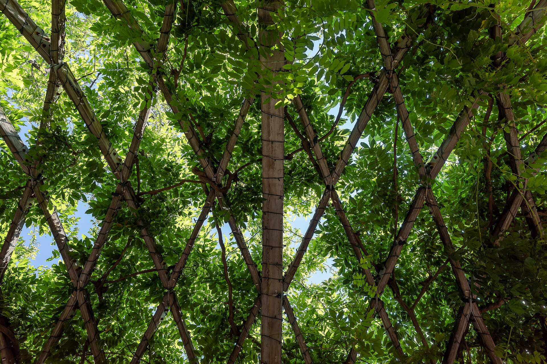Christopher Columbus Park — trellis and harbor light